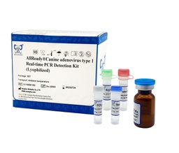 [011069K1B2] AllReady®Canine adenovirus type 1 Real-time PCR Detection Kit (Lyophilized)