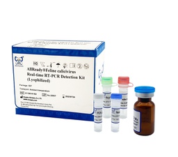 [011061K1B2] AllReady®Feline calicivirus Real-time RT-PCR Detection Kit (Lyophilized)