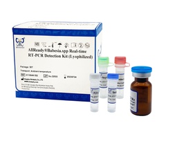 [011064K1B2] AllReady®Babesia spp. Real-time RT-PCR Detection Kit (Lyophilized)