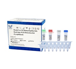 ReadyCq+®Chlamydophila felis Real-time PCR Detection Kit (Lyophilized)
