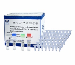 ReadyCq+®Swine vesicular disease virus Real-time RT-PCR Detection Kit (Lyophilized)