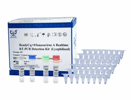 ReadyCq+®Senecavirus A Realtime RT-PCR Detection Kit  (Lyophilized)