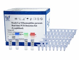 ReadyCq+®Haemophilus parasuis Real-time PCR Detection Kit (Lyophilized)